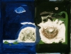 The Nests The Nests