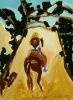 Trail Rdie Trail Rdie