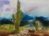 High Desert Cactus High Desert Cactus
