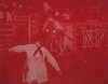 "Bull In Red" "Bull In Red"